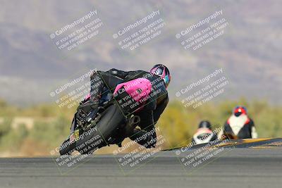 media/Feb-04-2023-SoCal Trackdays (Sat) [[8a776bf2c3]]/Turn 9 Backside (145pm)/